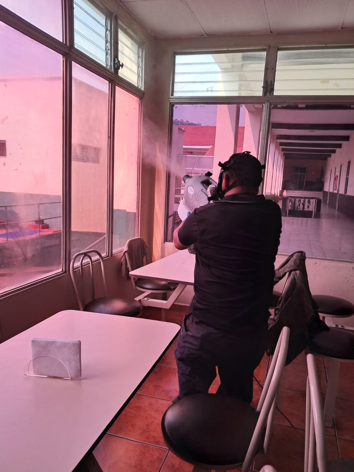 control-de-plagas-en-la-paz