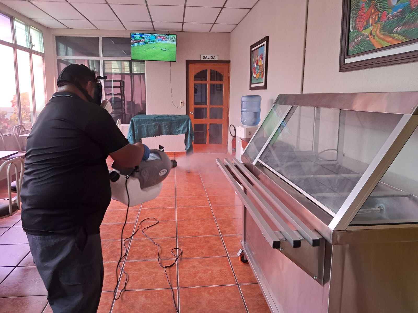 control-de-plagas-tegucigalpa